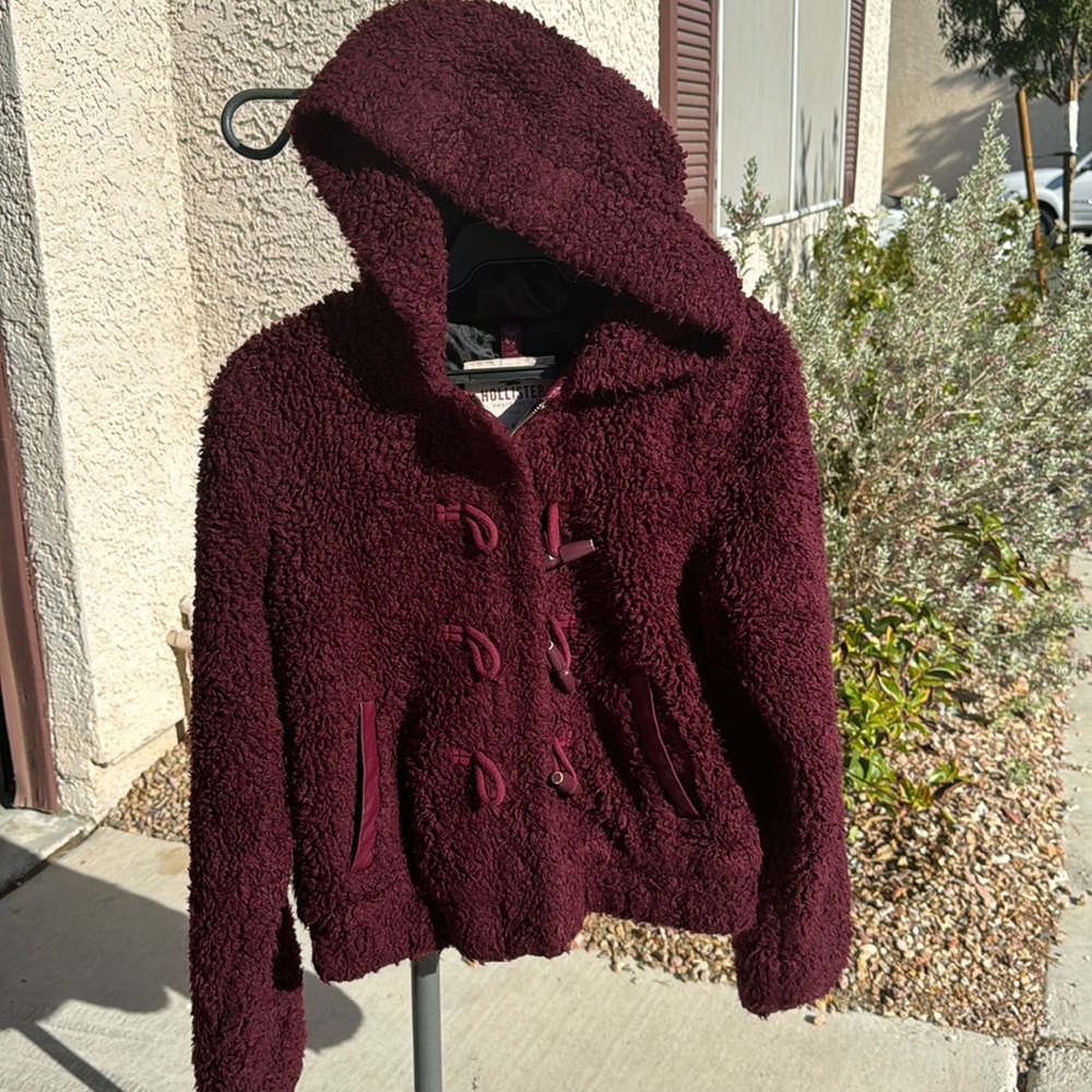 Hollister Winter Jacket